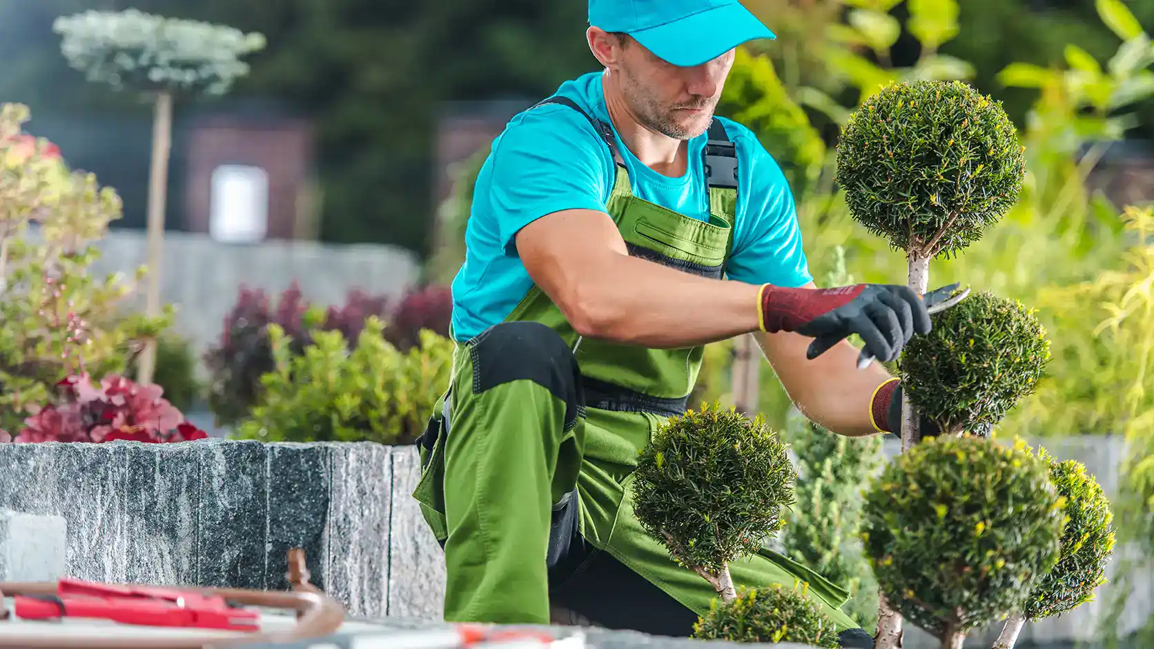 Gärtner schneidet Formgehölz in einer gepflegten Gartenanlage mit Pflanzflächen und Natursteinmauer
