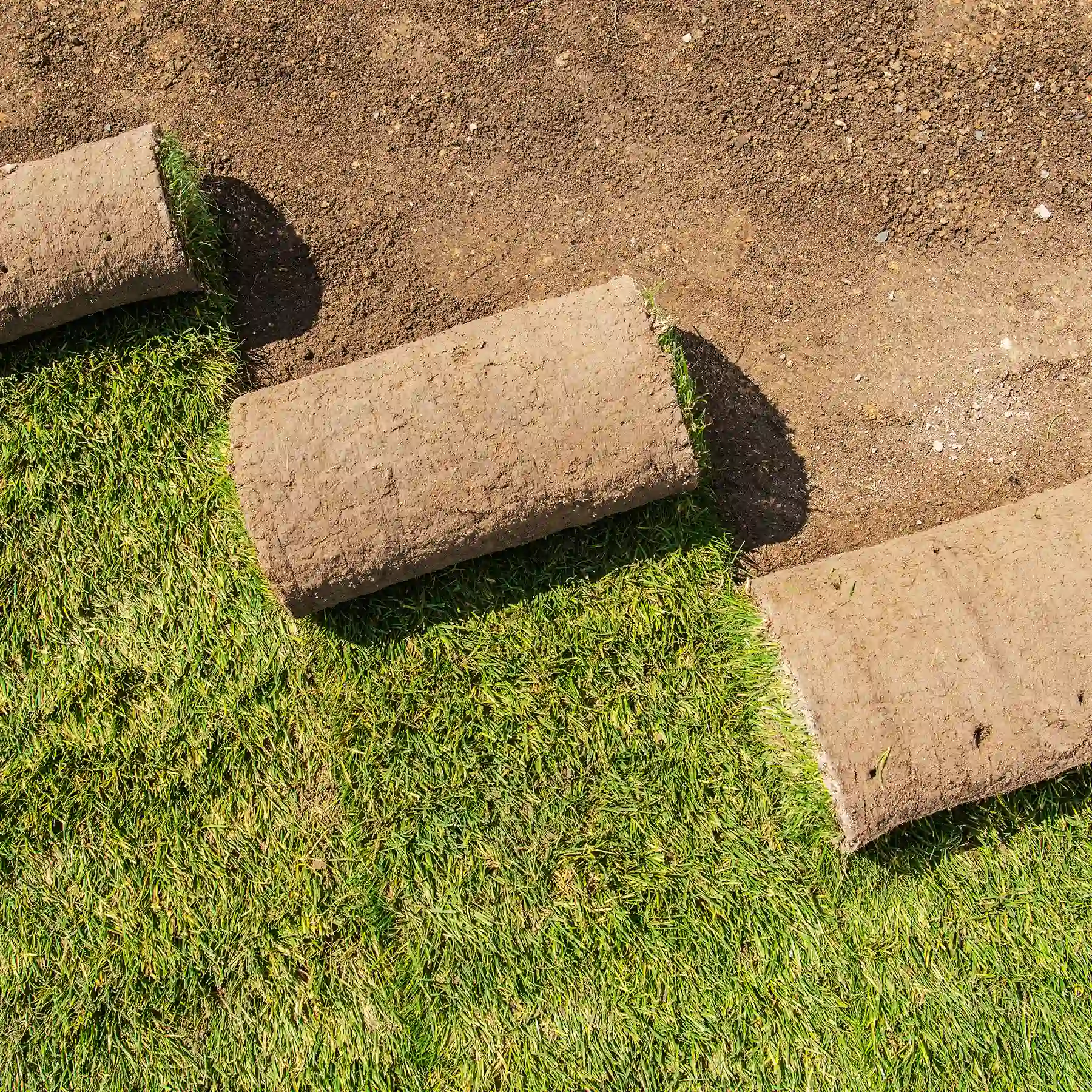 Rollrasen wird auf vorbereiteter Erde ausgelegt und bildet eine neue, dichte Grünfläche im Garten.
